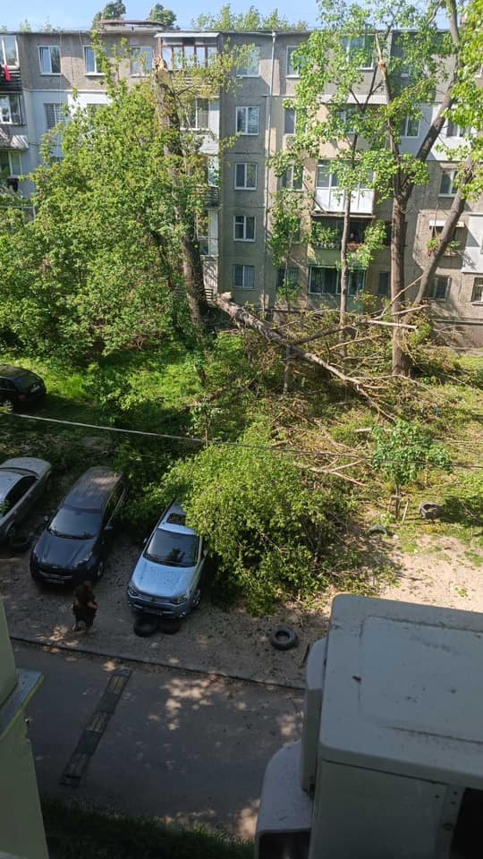 Copac rupt în curte de bloc din Chișinău