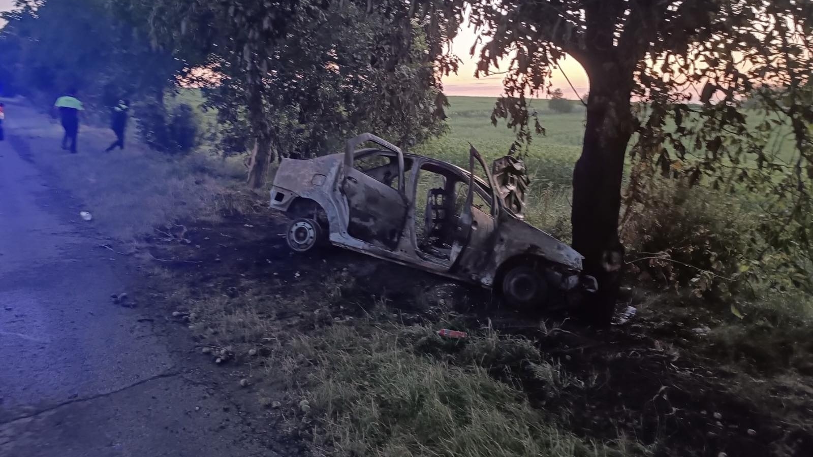 Accident lângă Puhoi / FOTO: IP Anenii Noi