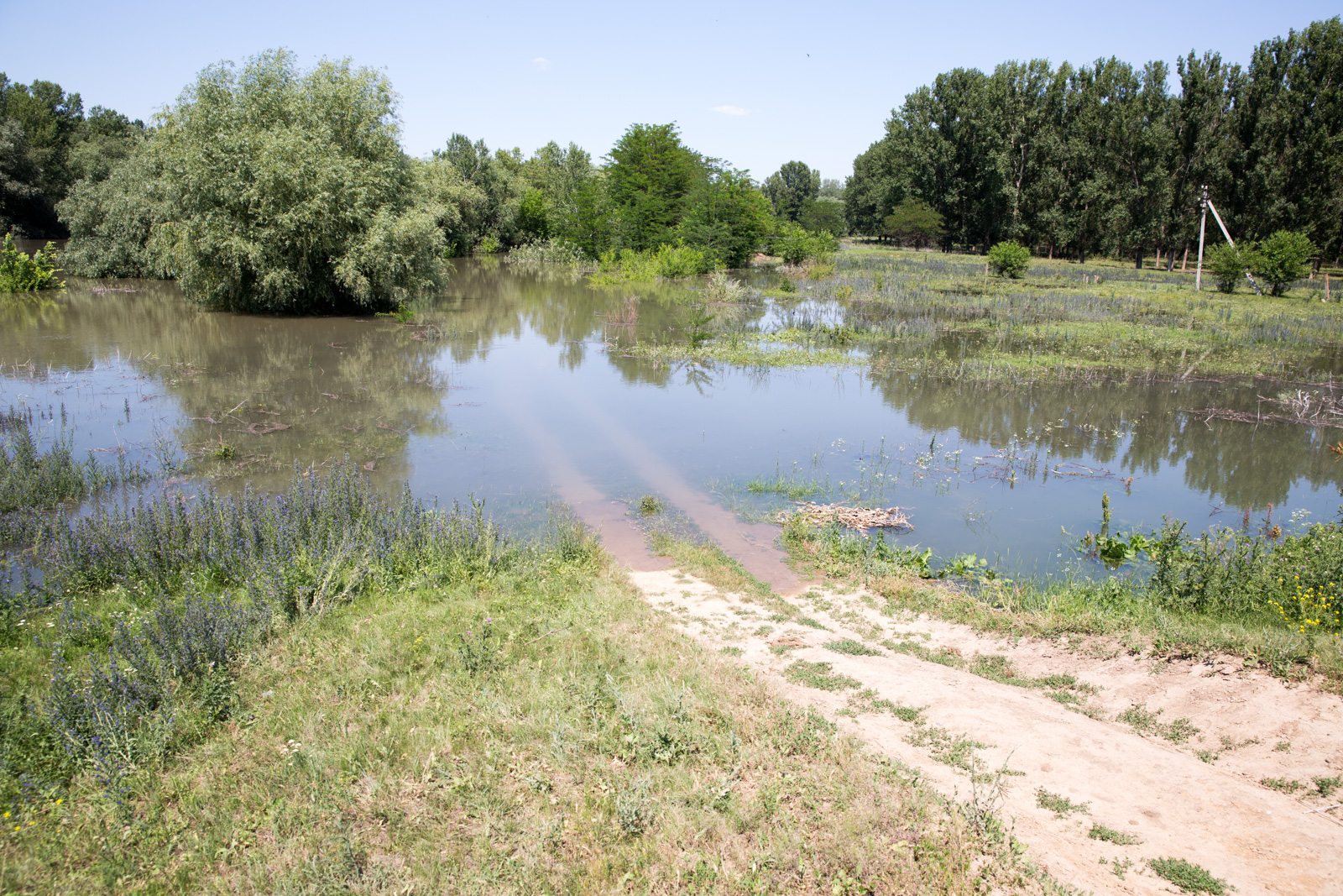 Serviciul Hidrometeorologic de Stat a emis o altă avertizare meteo Cod Galben de vreme rea, însă în paralel vine alta de ordin hidrologic.